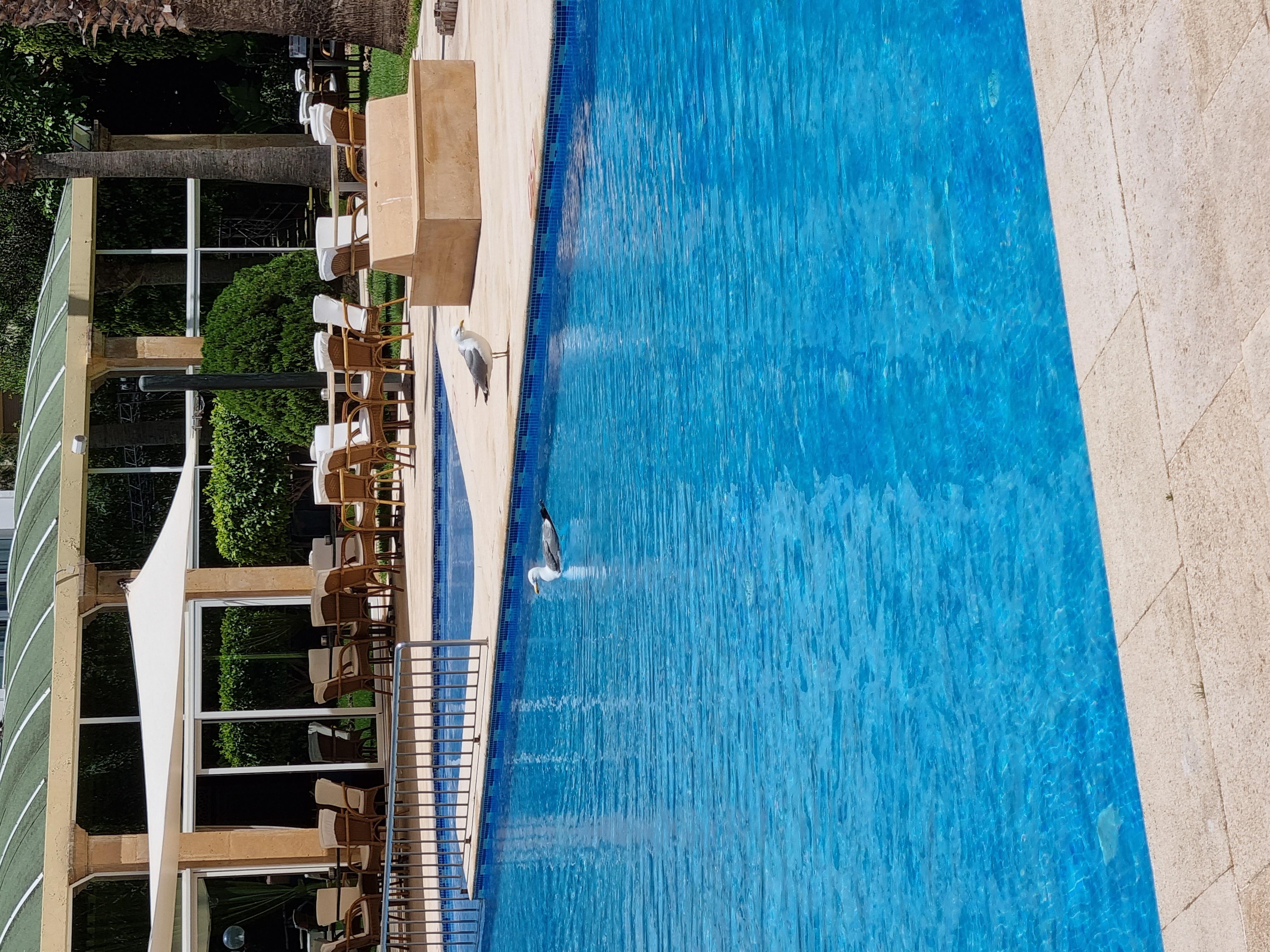 El Oumnia Puerto & Spa Tangier Bagian luar foto